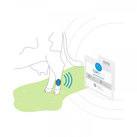 Gerenciamento De Rebanhos